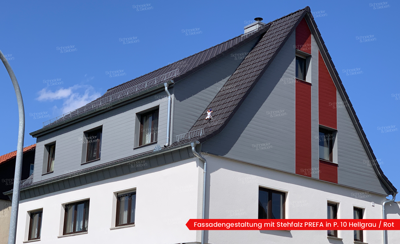 Fassadengestaltung mit Stehfalz PREFA_06